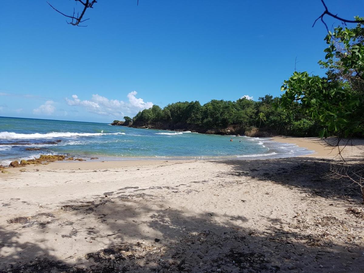 Charmante Villa Avec Acces Direct A La Mer Sainte-Rose Εξωτερικό φωτογραφία