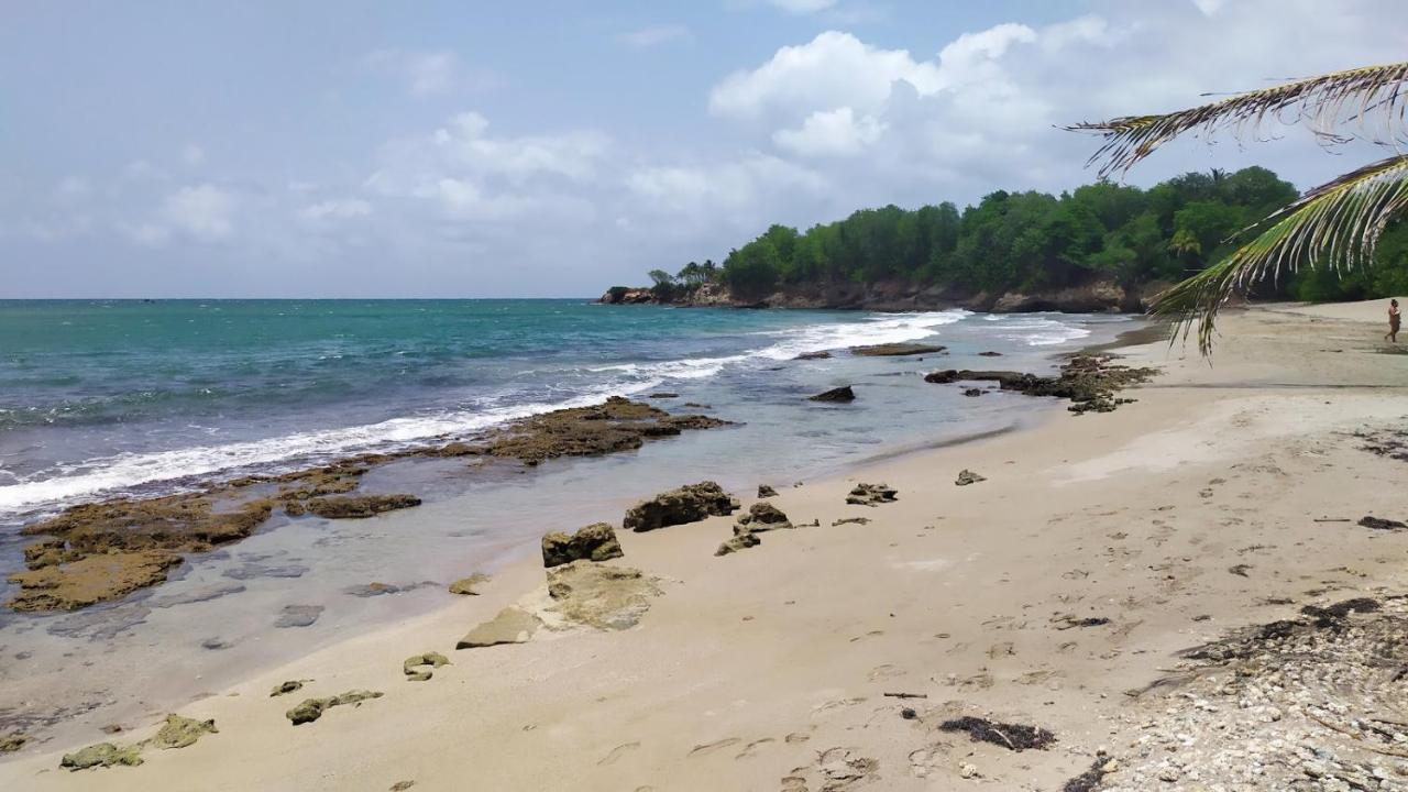 Charmante Villa Avec Acces Direct A La Mer Sainte-Rose Εξωτερικό φωτογραφία